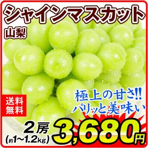 ぶどう 山梨産 シャインマスカット 2房 1組 葡萄 ブドウ フルーツ くだもの 食品 国華園