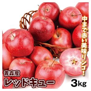 りんご 3kg レッドキュー 青森産 ご家庭用 送料無料 食品