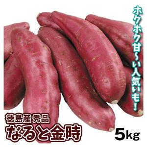 国華園 さつまいも 5kg なると金時 徳島産 送料無料 食品