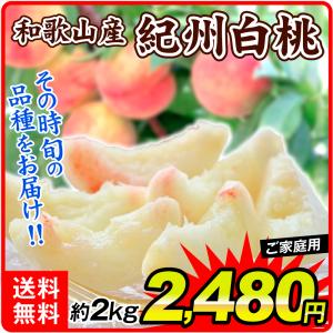 【数量限定】 桃 和歌山産 紀州白桃 (約2kg) 6〜12玉 ご家庭用 品種おまかせ もも ピーチ フルーツ 国華園