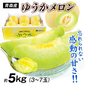 メロン アールスメロン 青肉 果物 4玉 8kg 家庭用 メロン 愛知産 アールスメロン 8kg 甘い 青肉メロン マスクメロン系 お