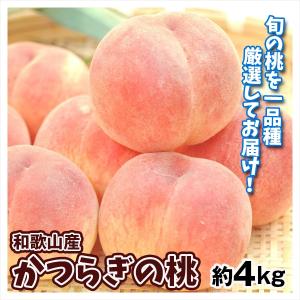 もも 約4kg かつらぎの桃 和歌山産 送料無料 食品｜kokkaen