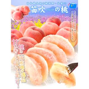国華園 もも 3kg 笛吹の桃 山梨産 化粧箱...の詳細画像2