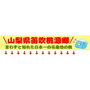 国華園 もも 3kg 笛吹の桃 山梨産 化粧箱...の詳細画像1