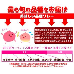 国華園 もも 3kg 笛吹の桃 山梨産 化粧箱...の詳細画像4