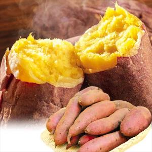 さつまいも 10kg 紅はるか 熊本・宮崎産 訳あり 送料無料 食品