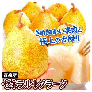 国華園 梅 10kg 小梅・青梅 和歌山産 こうめ 冷蔵便 送料無料 食品
