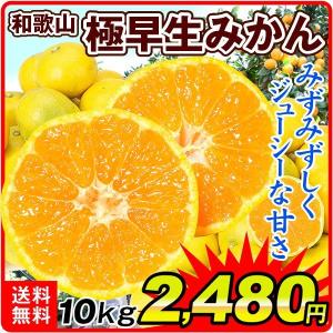 柑橘 和歌山産 極早生みかん 10kg ご家庭用 送料無料 食品