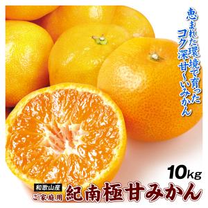 みかん 10kg 紀南の極甘みかん 蜜柑 温州 ご家庭用 和歌山産 送料無料 食品｜kokkaen