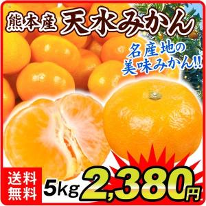 みかん 熊本産 天水みかん（5kg）ご家庭用 蜜柑 柑橘 フルーツ 果物 国華園