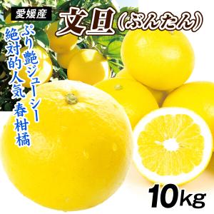 ベトナム産ドリアン 約2.0kg〜3.0kg 4玉入り （Ri6種） : トロピカル