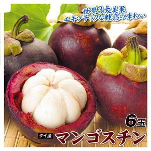 マンゴスチン 6玉 タイ産 世界三大美果  食品