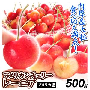 さくらんぼ 500g レーニア アメリカ産 アメリカンチェリー 送料無料 食品