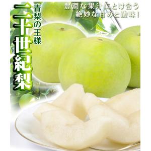 梨 鳥取産 二十世紀梨 10kg なし 青梨 ...の詳細画像1