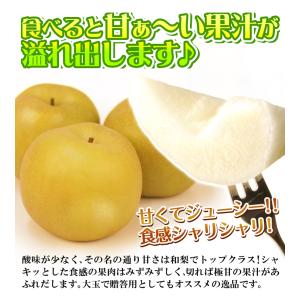 梨 鳥取産 新甘泉梨 10kg なし 甘い 和...の詳細画像3