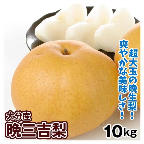 梨 10kg 晩三吉梨 (おくさんきち) 大分産 希少品種 送料無料 食品