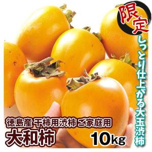 柿 10kg 愛宕柿【干柿用渋柿】 ご家庭用 徳島・愛媛産 送料無料 食品