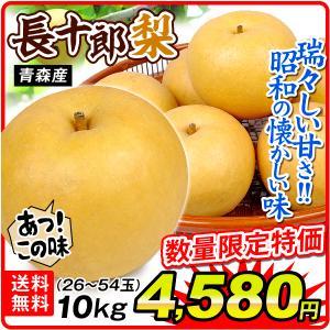 （数量限定）梨 10kg 青森・南部町産  長十郎梨（26〜54玉）1箱 木箱 産地直送 ご家庭用 送料無料 ちょうじゅうろう なし フルーツ 国華園