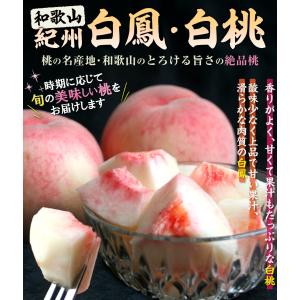 もも 2kg 紀州白鳳・白桃 和歌山産 白鳳 ...の詳細画像1