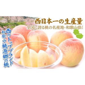 もも 2kg 紀州白鳳・白桃 和歌山産 白鳳 ...の詳細画像4