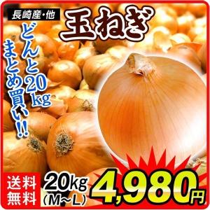 玉ねぎ 20kg 長崎産他 たまねぎ 送料無料 食品