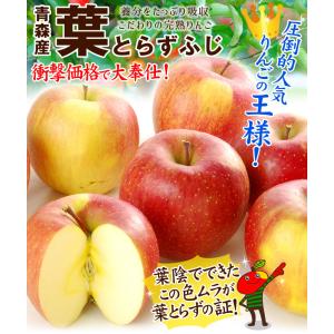 国華園 りんご 約20kg ご家庭用 葉とらず...の詳細画像1