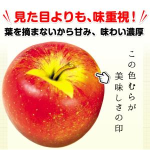 国華園 りんご 約20kg ご家庭用 葉とらず...の詳細画像2