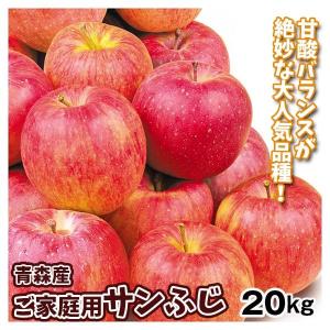 B級品ふじ/シナノゴールド詰合せ20キロ用木箱サイズダンボール詰わけあり青森県産 りんご 約20kg ご家庭用 葉とらずふじ 青森産 木箱 送料無料