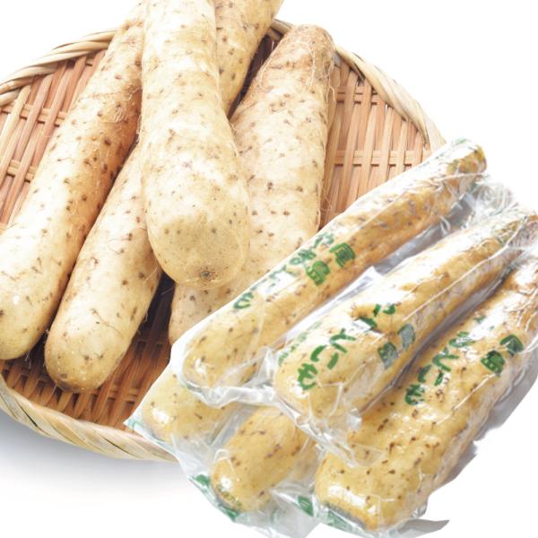 山いも 群馬産 やまといも・切れ子 5本 バチいも イチョウいも 送料無料 食品