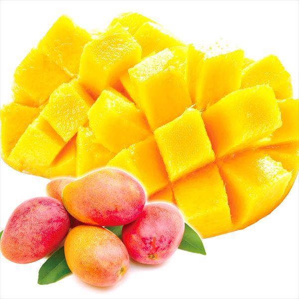マンゴー 約1kg アップルマンゴー 台湾産 ご家庭用 芒果 南国フルーツ 送料無料 冷蔵便 食品