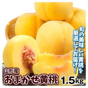 もも 1.5kg 山形産 おまかせ黄桃 桃 品種おまかせ 送料 無料 食品｜kokkaen