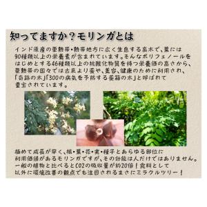 国華園 モリンガパウダー 100g×2袋 イン...の詳細画像2