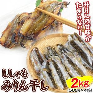 ししゃも みりん干し 2kg （500g×4箱） 焼きししゃも 味醂ししゃも 味醂干し おつまみ 珍味 送料無料 冷凍便｜kokkaen