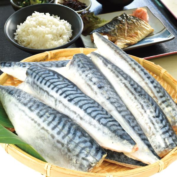 骨取り特大トロさば 約1kg ノルウェー産 食品 冷凍便