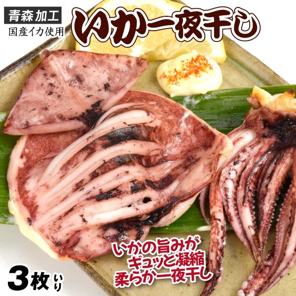 干物 国産 いか一夜干し 3枚 青森加工 生干し 無添加 無加塩 イカ 三富産業 バーベキュー 送料...