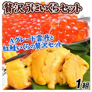 うにと紅鮭いくらセット 1組 いくら 紅鮭 (250g) うに Aグレード (100g) ミョウバン不使用 雲丹 生食用 送料無料 冷凍便｜kokkaen