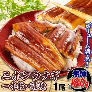 うなぎ うなぎ蒲焼き 1尾 180g前後 ニホンウナギ 中国産 かば焼き 無頭 鰻 ウナギ 食品 冷凍便｜kokkaen