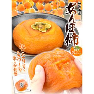 国華園 干し柿 あんぽ柿 特大 和歌山産 3L...の詳細画像1