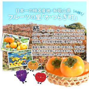 国華園 干し柿 あんぽ柿 特大 和歌山産 3L...の詳細画像2