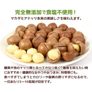 国華園 殻付き マカダミアナッツ 300g×2...の詳細画像4