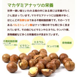 国華園 殻付き マカダミアナッツ 300g×2...の詳細画像3