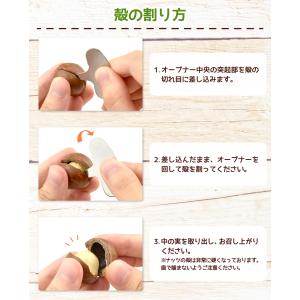 国華園 殻付き マカダミアナッツ 300g×2...の詳細画像5