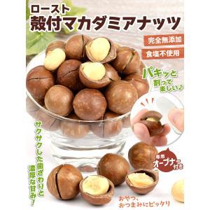 国華園 殻付き マカダミアナッツ 300g×2...の詳細画像1