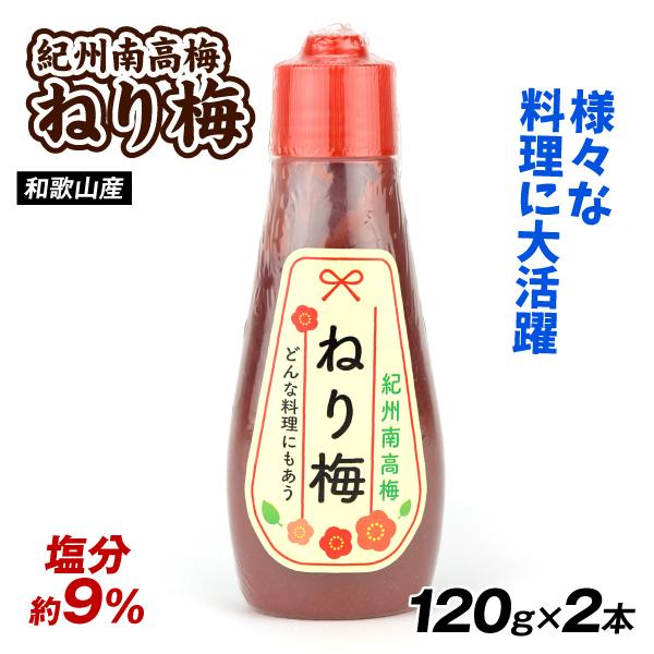 ねり梅 紀州南高梅 120g×2本 和歌山産 塩分約9％ 調味料 送料無料 ポスト投函 食品 国華園