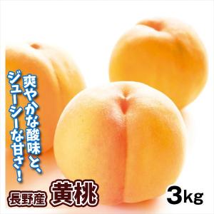 もも 3kg 黄桃 長野産 ご家庭用 送料無料 食品｜kokkaen