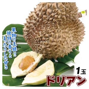 ドリアン 1玉 タイ・ベトナム産  フレッシュドリアン