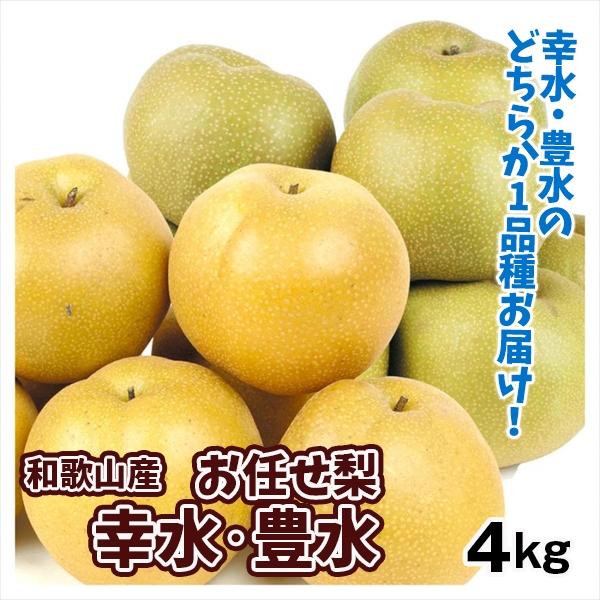 梨 4kg おまかせ幸水・豊水梨 和歌山産 送料無料 食品