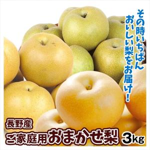 梨 3kg おまかせ梨 長野産 ご家庭用 送料無料 食品｜kokkaen