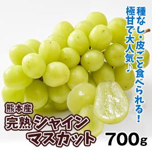 ぶどう 2パック 完熟シャインマスカット 熊本産 (350~300g×2パック) ご家庭用 シャイン 小粒 種なし 皮ごとOK 送料無料 葡萄 食品 国華園｜kokkaen