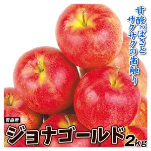 りんご 2kg 青森産 ご家庭用 ジョナゴールド 色むら 送料無料 食品